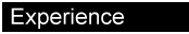 Experience